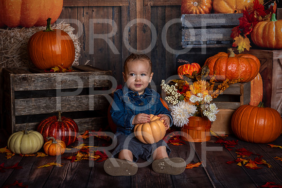 G_Saravia_MSCDC_FALL2023_PhotoHappySA-11