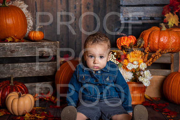 G_Saravia_MSCDC_FALL2023_PhotoHappySA-04