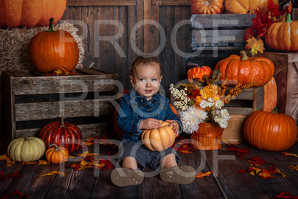 G_Saravia_MSCDC_FALL2023_PhotoHappySA-10