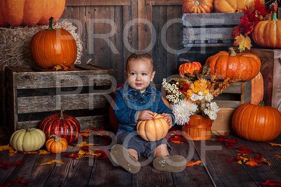 G_Saravia_MSCDC_FALL2023_PhotoHappySA-12
