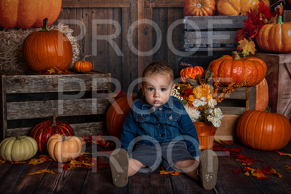 G_Saravia_MSCDC_FALL2023_PhotoHappySA-03