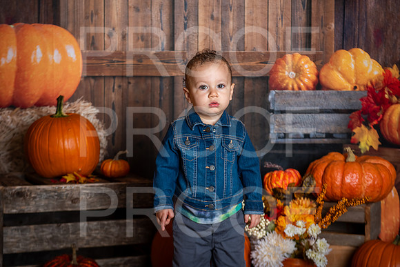 G_Saravia_MSCDC_FALL2023_PhotoHappySA-07