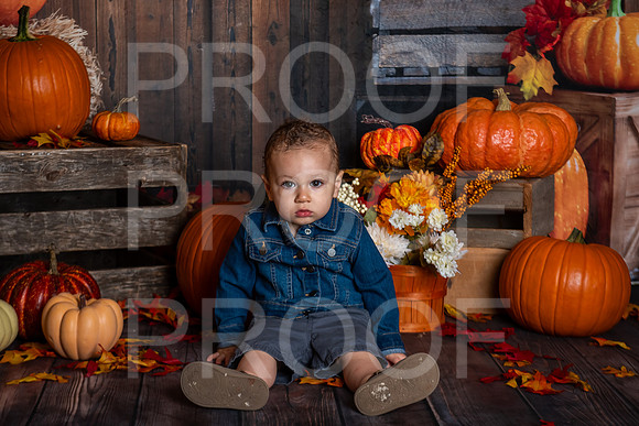 G_Saravia_MSCDC_FALL2023_PhotoHappySA-01
