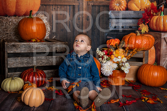 G_Saravia_MSCDC_FALL2023_PhotoHappySA-18