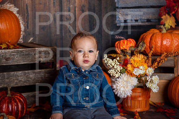 G_Saravia_MSCDC_FALL2023_PhotoHappySA-19