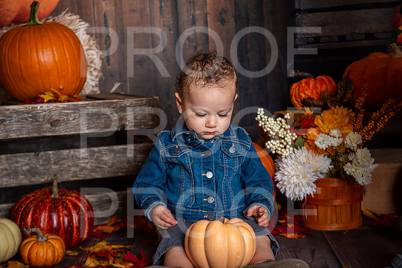 G_Saravia_MSCDC_FALL2023_PhotoHappySA-09