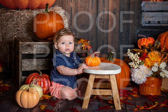 L_Sencindiver_MSCDC_FALL2023_PhotoHappySA-01