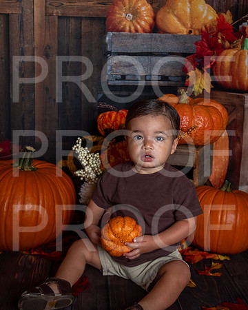 L_Smith_MSCDC_FALL2023_PhotoHappySA-14