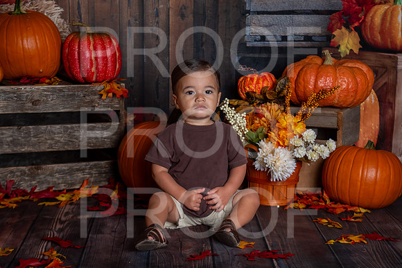 L_Smith_MSCDC_FALL2023_PhotoHappySA-03
