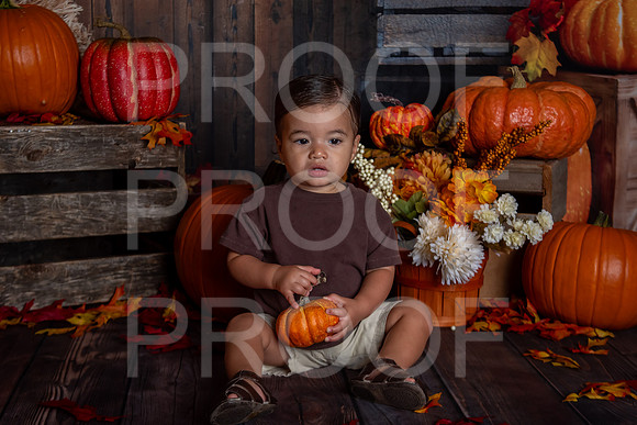 L_Smith_MSCDC_FALL2023_PhotoHappySA-12