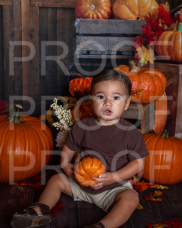 L_Smith_MSCDC_FALL2023_PhotoHappySA-13