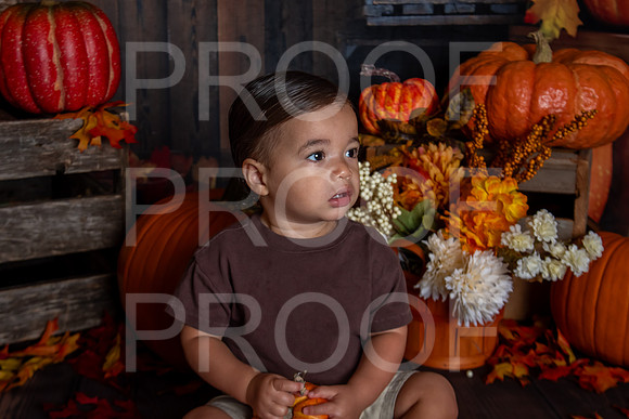 L_Smith_MSCDC_FALL2023_PhotoHappySA-11
