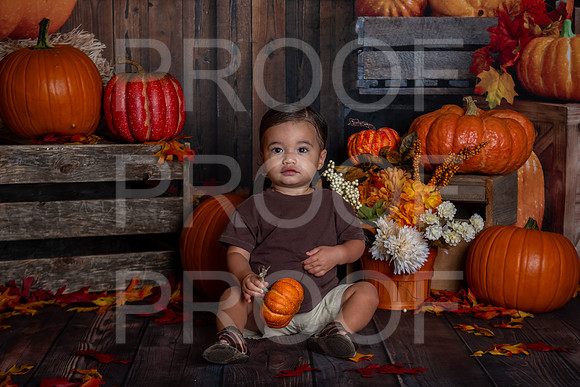 L_Smith_MSCDC_FALL2023_PhotoHappySA-05