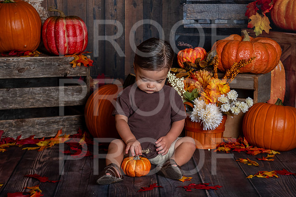 L_Smith_MSCDC_FALL2023_PhotoHappySA-04